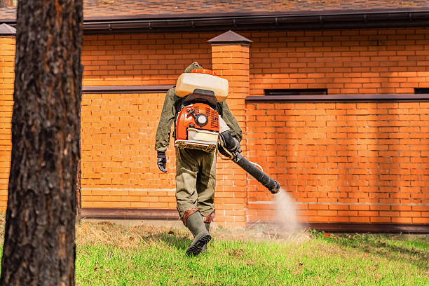 Bed Bug Clearance Verification and Documentation in Sale Creek